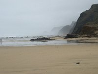 P, Faro, Vila do Bispo, Praia da Cordoama 30, Saxifraga-Willem van Kruijsbergen