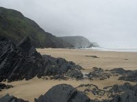 P, Faro, Vila do Bispo, Praia da Cordoama 33, Saxifraga-Willem van Kruijsbergen