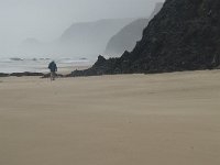 P, Faro, Vila do Bispo, Praia da Cordoama 42, Saxifraga-Willem van Kruijsbergen