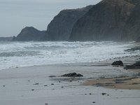 P, Faro, Vila do Bispo, Praia da Cordoama 66, Saxifraga-Willem van Kruijsbergen