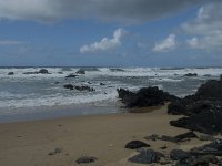 P, Faro, Vila do Bispo, Praia da Cordoama 87, Saxifraga-Willem van Kruijsbergen