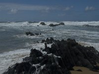 P, Faro, Vila do Bispo, Praia da Cordoama 98, Saxifraga-Willem van Kruijsbergen