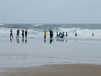 P, Faro, Vila do Bispo, Praia de Castelejo 100, Saxifraga-Willem van Kruijsbergen