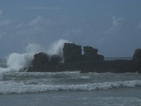 P, Faro, Vila do Bispo, Praia de Castelejo 103, Saxifraga-Willem van Kruijsbergen