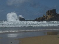 P, Faro, Vila do Bispo, Praia de Castelejo 106, Saxifraga-Willem van Kruijsbergen