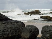 P, Faro, Vila do Bispo, Praia de Castelejo 20, Saxifraga-Willem van Kruijsbergen