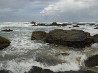 P, Faro, Vila do Bispo, Praia de Castelejo 24, Saxifraga-Willem van Kruijsbergen