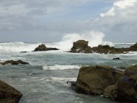 P, Faro, Vila do Bispo, Praia de Castelejo 25, Saxifraga-Willem van Kruijsbergen