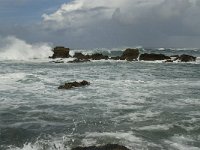 P, Faro, Vila do Bispo, Praia de Castelejo 29, Saxifraga-Willem van Kruijsbergen