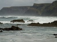 P, Faro, Vila do Bispo, Praia de Castelejo 32, Saxifraga-Willem van Kruijsbergen