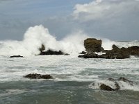 P, Faro, Vila do Bispo, Praia de Castelejo 33, Saxifraga-Willem van Kruijsbergen