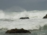 P, Faro, Vila do Bispo, Praia de Castelejo 39, Saxifraga-Willem van Kruijsbergen