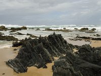 P, Faro, Vila do Bispo, Praia de Castelejo 43, Saxifraga-Willem van Kruijsbergen