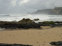 P, Faro, Vila do Bispo, Praia de Castelejo 47, Saxifraga-Willem van Kruijsbergen