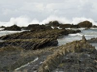 P, Faro, Vila do Bispo, Praia de Castelejo 56, Saxifraga-Willem van Kruijsbergen