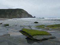 P, Faro, Vila do Bispo, Praia de Castelejo 98, Saxifraga-Willem van Kruijsbergen