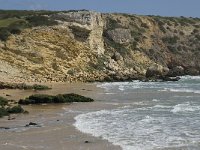 P, Faro, Vila do Bispo, Praia do Zavial 2, Saxifraga-Willem van Kruijsbergen