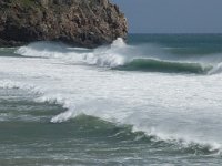 P, Faro, Vila do Bispo, Praia do Zavial 5, Saxifraga-Willem van Kruijsbergen