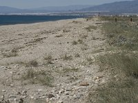 E, Almeria, Nijar, Cabo de Gata 19, Saxifraga-Jan van der Straaten