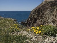 E, Almeria, Nijar, Cabo de Gata 34, Saxifraga-Willem van Kruijsbergen