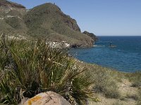 E, Almeria, Nijar, Cabo de Gata 46, Saxifraga-Willem van Kruijsbergen