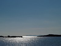 E, Mallorca, Ses Salines, Colonia de Sant Jordi 1, Saxifraga-Hans Dekker