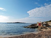 E, Mallorca, Ses Salines, Colonia de Sant Jordi 4, Saxifraga-Hans Dekker