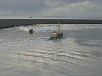 NL, Friesland, Harlingen, harbour 4, Saxifraga-Jan van der Straaten