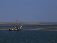 NL, Friesland, Vlieland, Wad 3, Saxifraga-Hans Boll