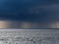 NL, Friesland, Vlieland, Waddenzee 1, Saxifraga-Bart Vastenhouw