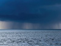 NL, Friesland, Vlieland, Waddenzee 2, Saxifraga-Bart Vastenhouw