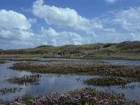 NL, Noord-Holland, Texel, De Slufter 5, Foto Fitis-Sytske Dijksen