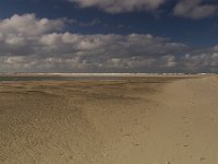 NL, Noord-Holland, Texel, De Slufter-Noordzee 1, Saxifraga-Jan Nijendijk