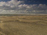 NL, Noord-Holland, Texel, De Slufter-Noordzee 2, Saxifraga-Jan Nijendijk