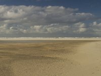 NL, Noord-Holland, Texel, De Slufter-Noordzee 4, Saxifraga-Jan Nijendijk