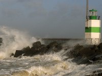 NL, Noord-Holland, Velsen, IJmuiden 1, Saxifraga-Piet Munsterman