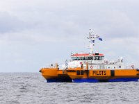 NL, Zeeland, Noordzee, Zeeuwse Banken 2, Saxifraga-Bart Vastenhouw