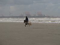 NL, Zuid-Holland, Rotterdam, Hoek van Holland 3, Saxifraga-Harry van Oosterhout