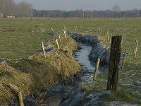 B, Antwerpen, Merksplas, Koekhoven, Zandvenheide 6 Saxifraga-Willem van Kruijsbergen