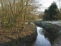 B, Antwerpen, Merksplas, Papenvoortsebrug 7, Saxifraga-Willem van Kruijsbergen