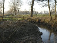 B, Antwerpen, Wortel, Bolkse Brug 10, Saxifraga-Willem van Kruijsbergen