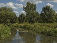 B, Limburg, Kinrooi, Abeek 7, Saxifraga-Marijke Verhagen