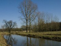 B, Limburg, Kinrooi, Abeek, Stramprooierbroek 2, Saxifraga-Jan van der Straaten