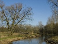 B, Limburg, Kinrooi, De Luysen 17, Saxifraga-Jan van der Straaten