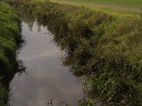 B, Limburg, Kinrooi, Itterbeek 2, Saxifraga-Jan van der Straaten