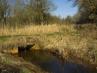 B, Limburg, Kinrooi, Lossing 5, Saxifraga-Jan van der Straaten