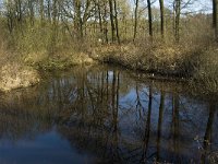 B, Limburg, Kinrooi, Stramprooierbroek 2, Saxifraga-Jan van der Straaten