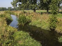 B, Limburg, Maaseik, Bosbeek 3, Saxifraga-Jan van der Straaten