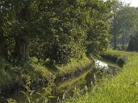 B, Limburg, Maaseik, Bosbeek 8, Saxifraga-Marijke Verhagen