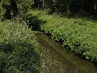 B, Limburg, Maaseik, Jagersborg 13, Saxifraga-Jan van der Straaten